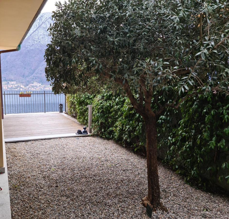 Colonno Panoramica Lago Di Como Buitenkant foto