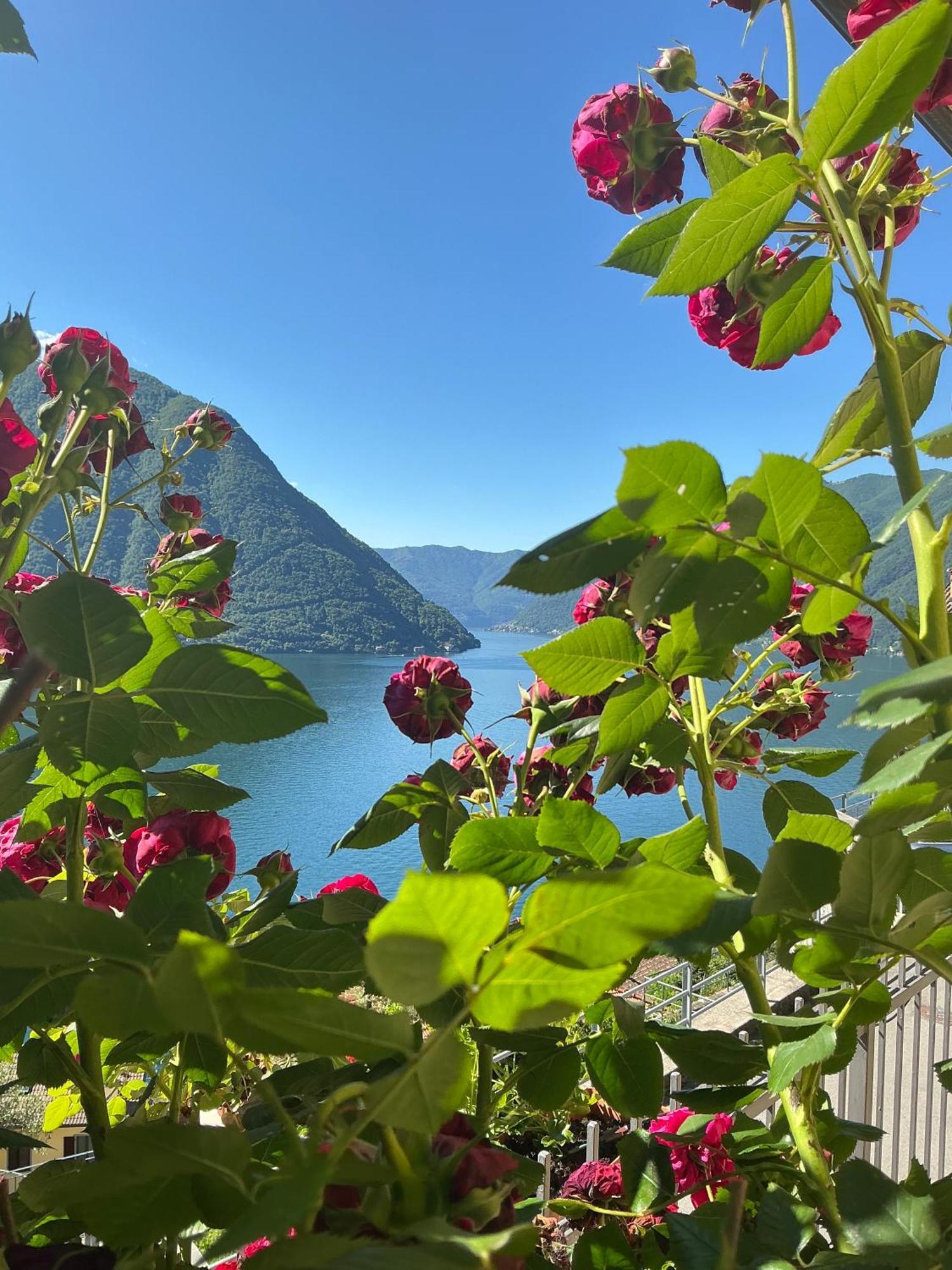Colonno Panoramica Lago Di Como Buitenkant foto